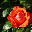 ���� �������, ��������, 69 ��� - ��������� 18 ���� 2026 � ������ ���� ����������
