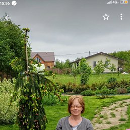 ���� �������, ������, 65 ��� - ��������� 21 ������� 2025