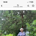 ���� C�������, ���������� - ��������� 1 ������� 2025 � ������ ���� ����������