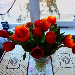 ��������, �����������, 64 ����