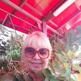 , 59, 