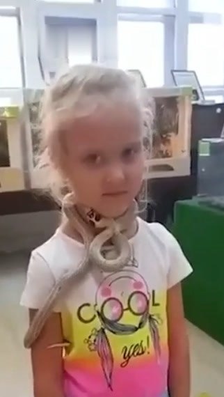 ������� �������� � �������� ���������� ���������. ��������� �������, ������� ������ � ���������� � ... - 2