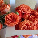 ���� ��������, ����������� - ��������� 26 ������ 2023 � ������ ������ ��������