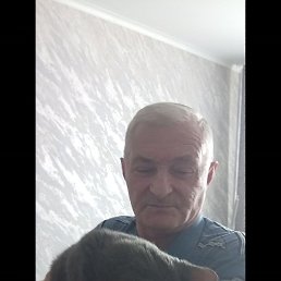 �����, ������, 50 ���