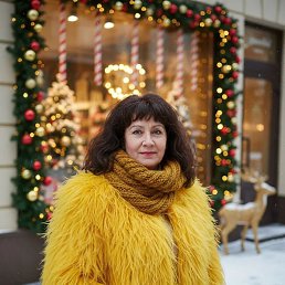 ���� ����, �������, 62 ���� - ��������� 3 ������ 2026