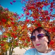 , 41 , 