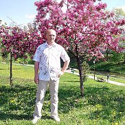 �������, 46 ���, ������