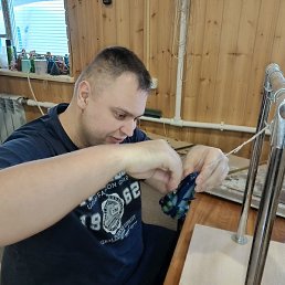 ������� �������, ����������, 31 ���