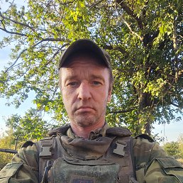 ����, 41 ���, ������