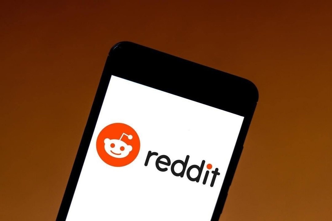 Reddit       $29,9     2024 .   ...