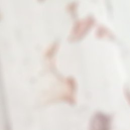 ��������, ����, 61 ���