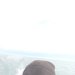 ��������, ������, 42 ����