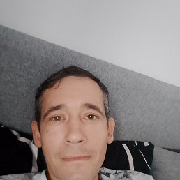 ����, 36 ���, ���������