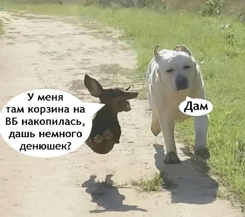   - 6  2025  14:09 - 2