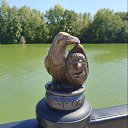 ���� �����, �������, 67 ��� - ��������� 15 ������� 2025