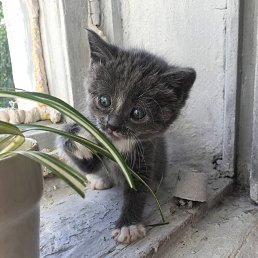 ���� �����, ����������, 29 ��� - ��������� 10 ���� 2025