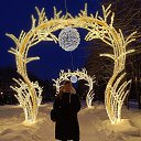 ���� �����, ��������, 39 ��� - ��������� 16 ������ 2026 � ������ ���� ����������