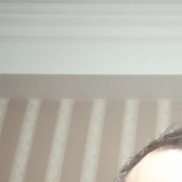 , , 29 