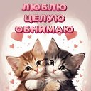 ���� ������, �������� - ��������� 20 ����� 2026 � ������ ������ ��������