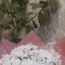 ���� �����, �����������, 41 ��� - ��������� 18 ������� 2023 � ������ ���� ����������