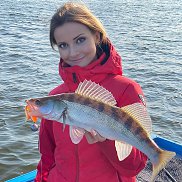 �����, 39 ���, ���������