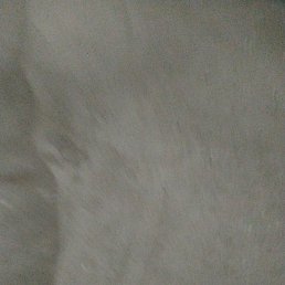 Chandu, ����, 20 ���