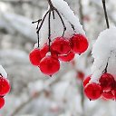 ���� ������, ����������� - ��������� 12 ��� 2025 � ������ ���� ����������