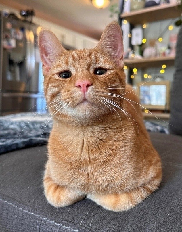 ���� ��� ����� �������� � �������� �� ����� ��������� ����