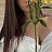 ���� Darina, �������, 28 ��� - ��������� 1 ��� 2026
