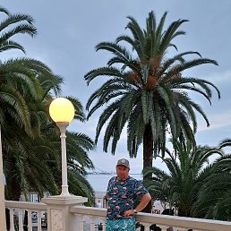 �������, ����, 55 ���