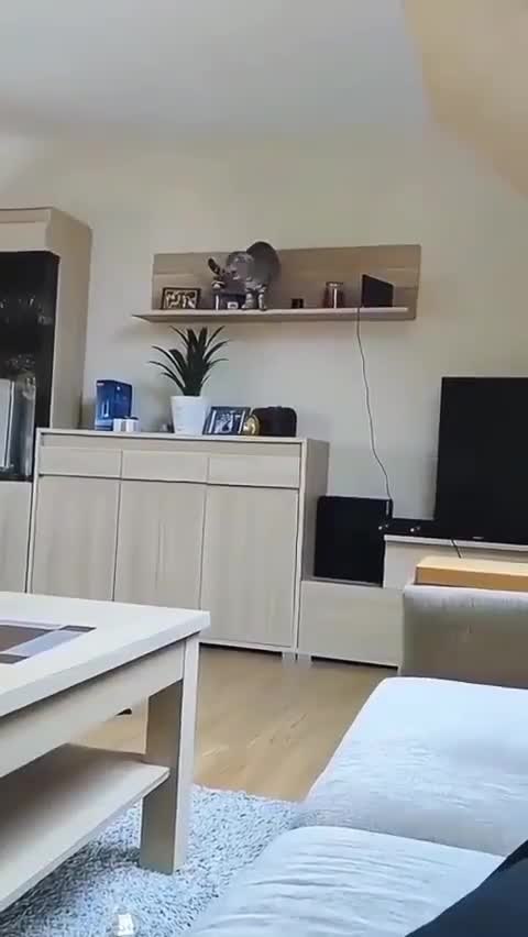 � ������ ������ �� ������ �������!