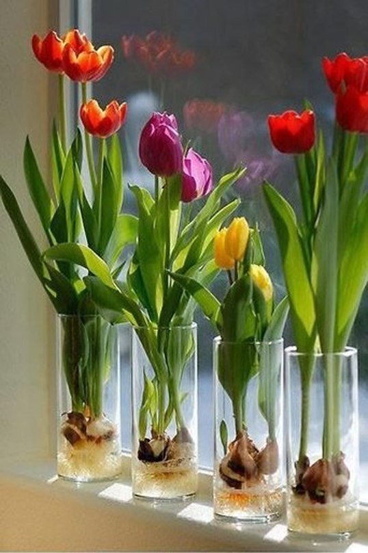 ����� ���� ����� ������� ����������� , ����������� ������; �� �� ����� �� �������� �, ����������� ... - 6