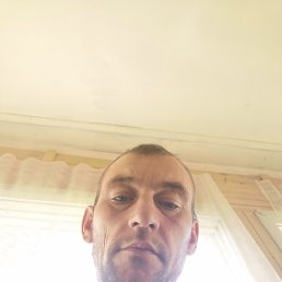 ��������, �����, 37 ���