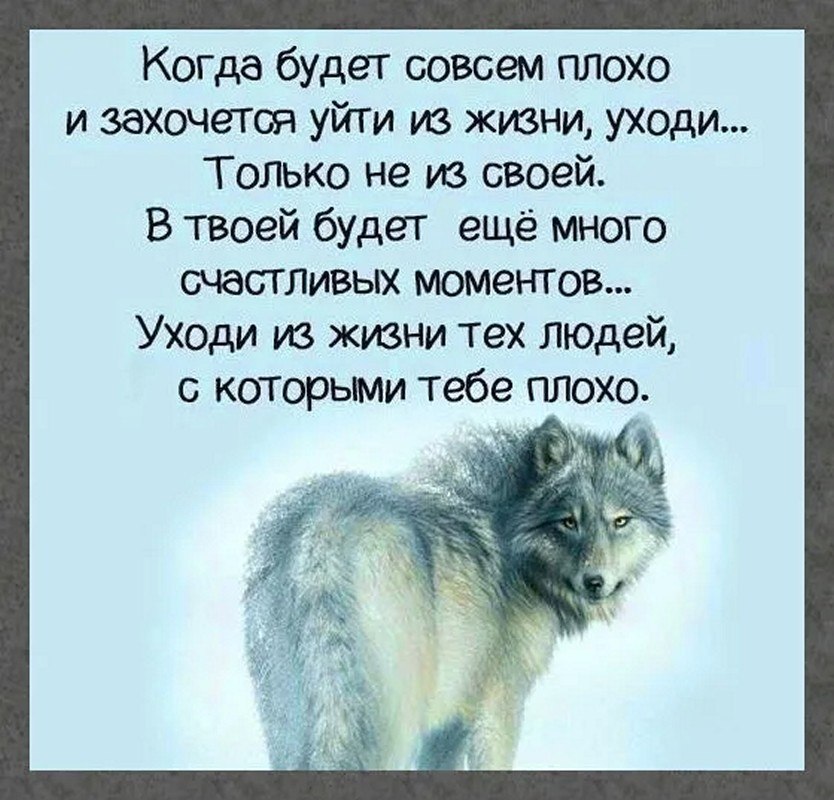 ☆ ☆ - 3  2025  08:27