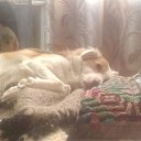  Lubomir_ss,  -  23  2024   ...)