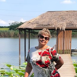 , 65, 