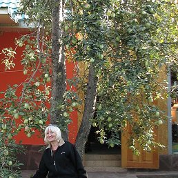 ��������, �����