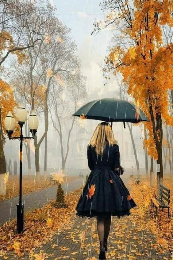 :)    ,    ,  ,   .     ...