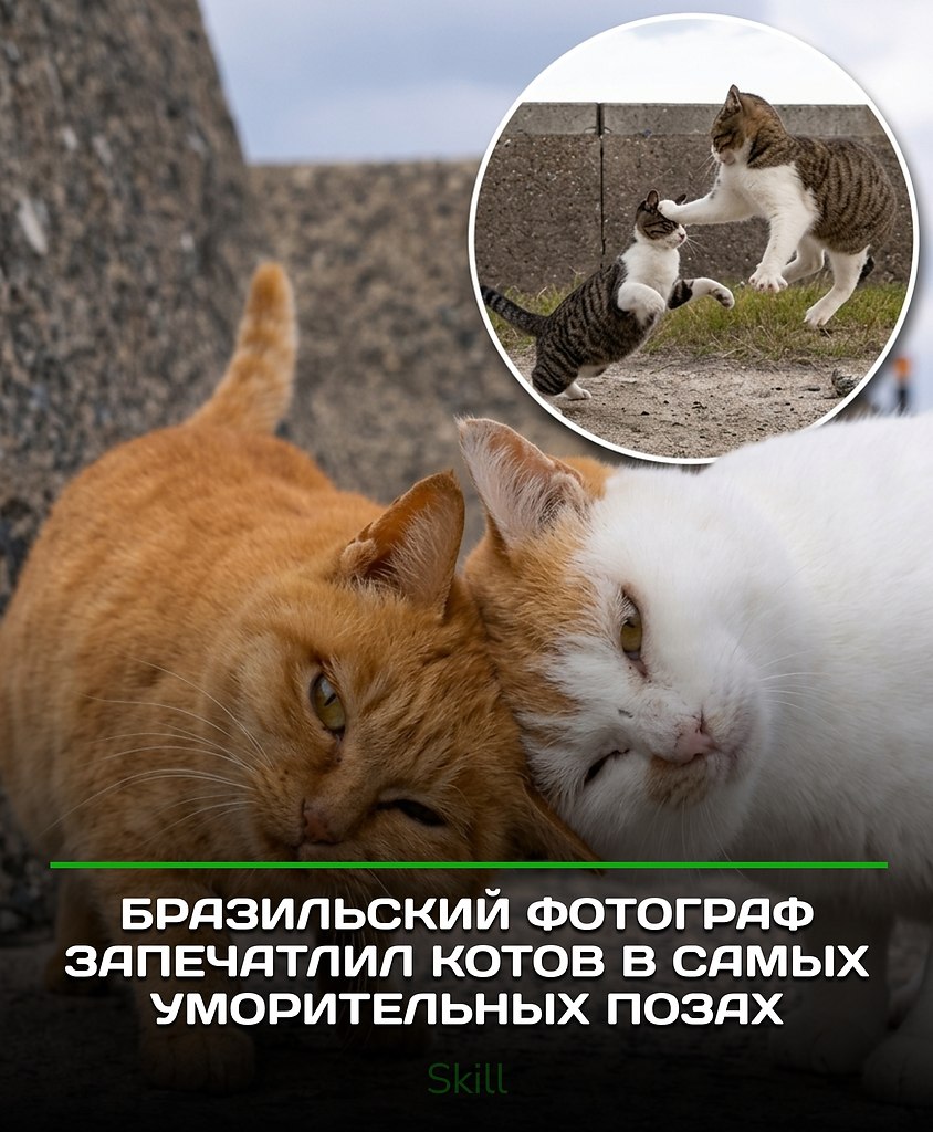 ����������� �������� ����������� ��������� ����� �������, �� ������� �� ����� ����� � ����� ...