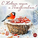 ���� �����, ������, 80 ��� - ��������� 6 ������ 2026 � ������ ������ ��������