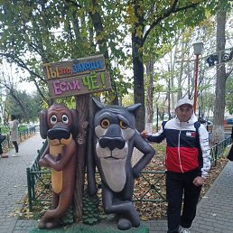 ���� ��������, �����������, 38 ��� - ��������� 7 ������� 2026