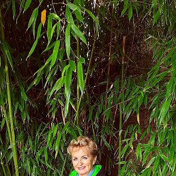 �������, �����������