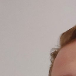 ������, �������, 26 ���