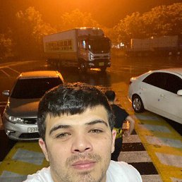 ���� Shamik, ������, 32 ���� - ��������� 24 ��� 2026