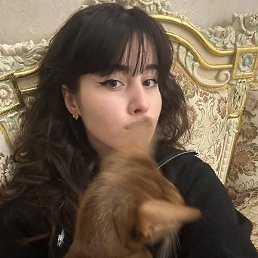 ������, ������, 29 ���