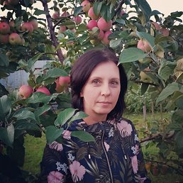 ���� ���, ������, 45 ��� - ��������� 28 ����� 2026