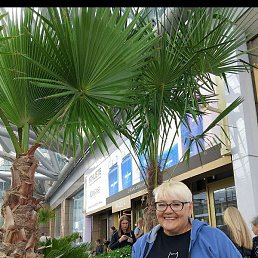 �����, ���������, 65 ���