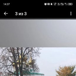 �������, 66 ���, ������