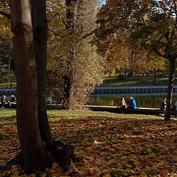 ��������, ������� �����, 41 ���