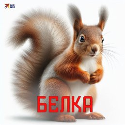 ���� �����, ������, 28 ��� - ��������� 2 ������ 2026